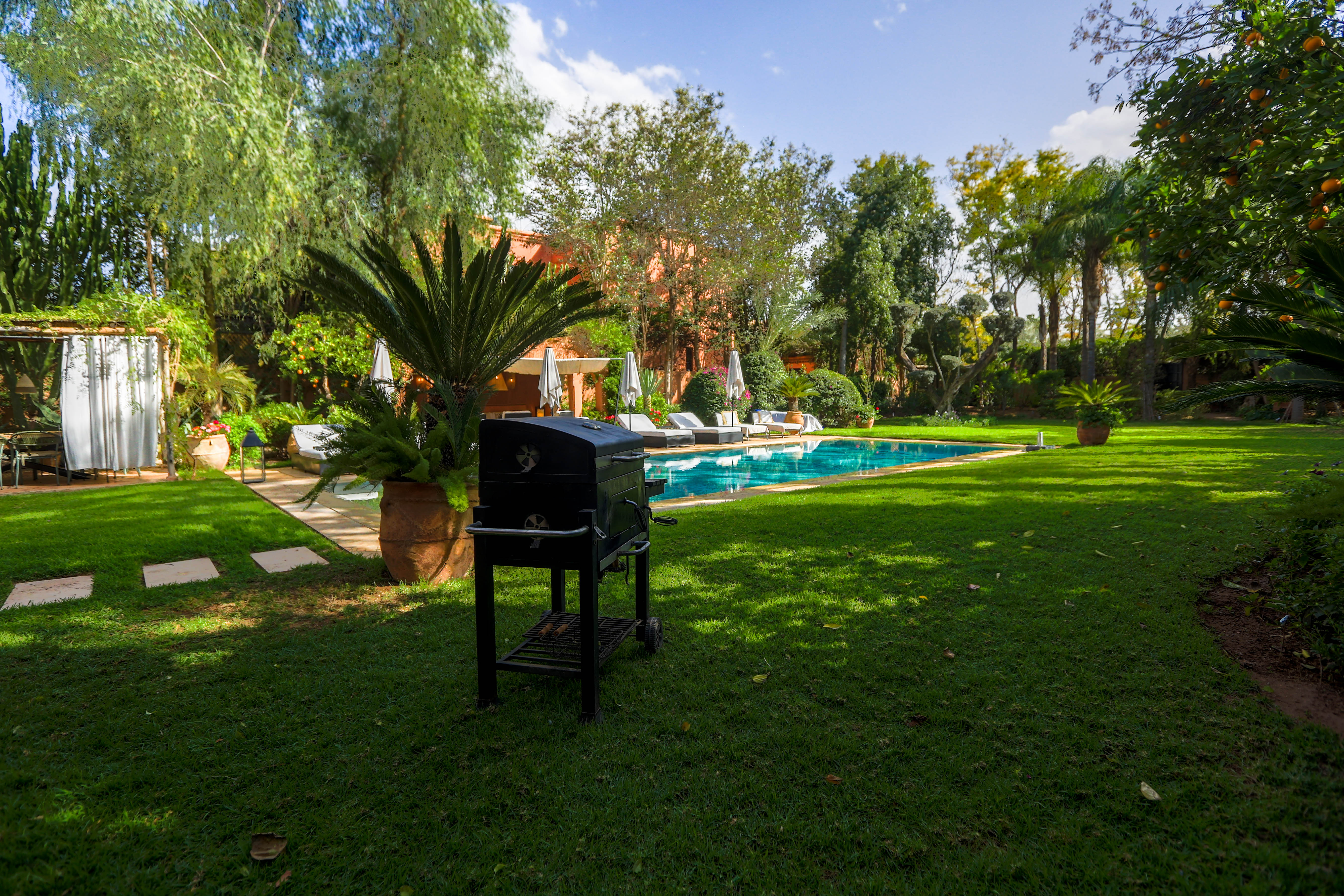Jardin luxuriant