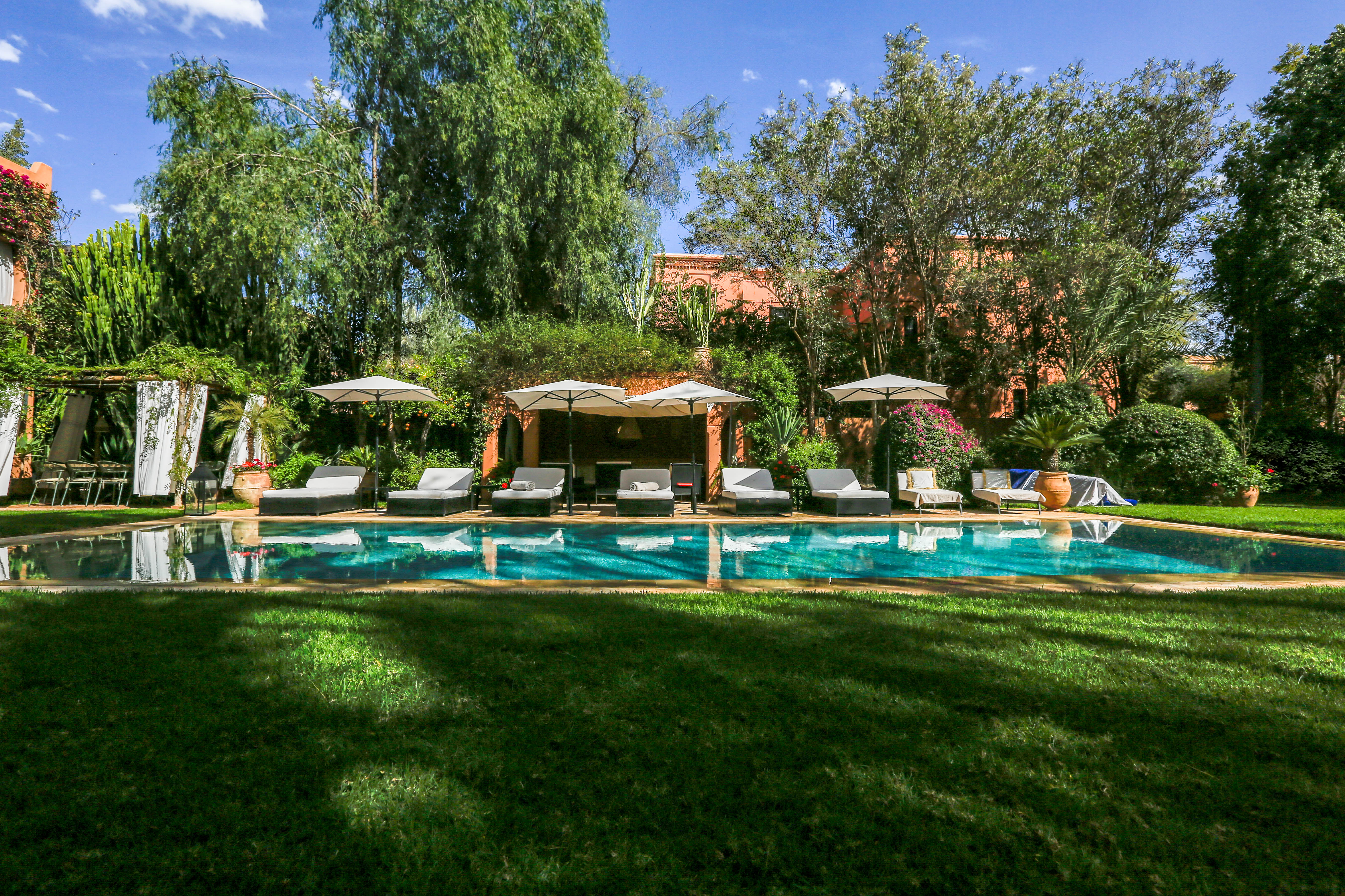 Jardin et piscine